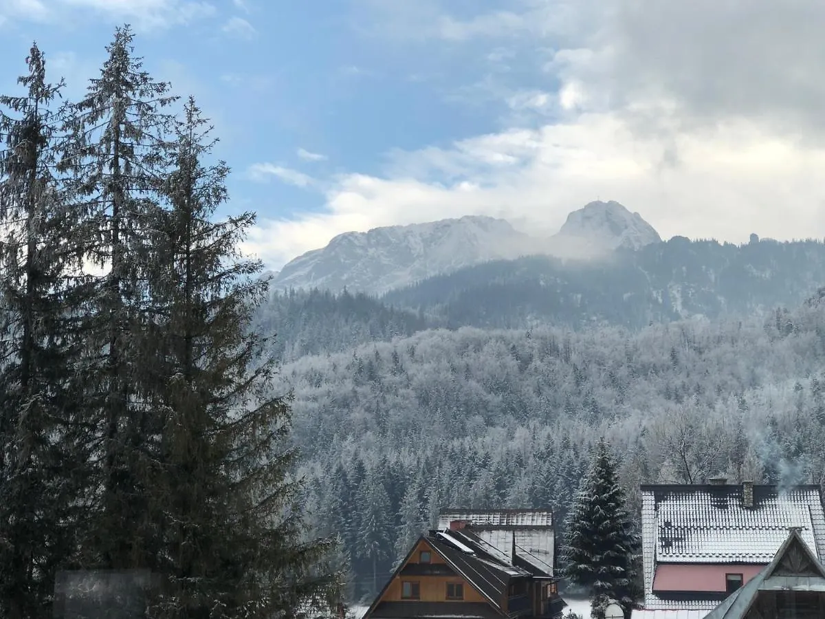 100 M2 Apartment - Nabucco With 270 Degree Mountain View, 65 Oled Tv, Netflix, Ps5 Console Zakopane 0*,